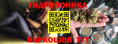 PSILOCYBIN Кинель